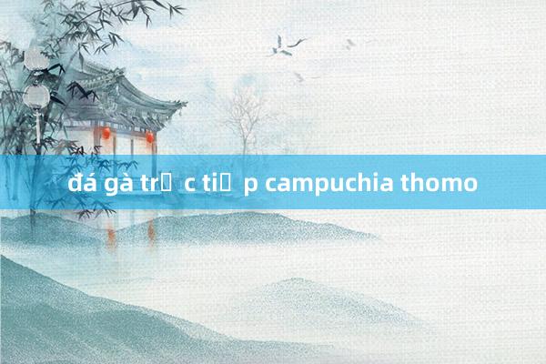 đá gà trực tiếp campuchia thomo