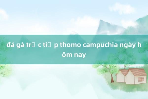 đá gà trực tiếp thomo campuchia ngày hôm nay