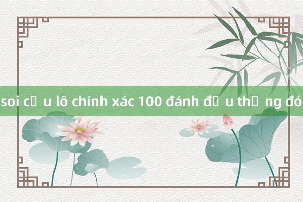 soi cầu lô chính xác 100 đánh đầu thắng đó