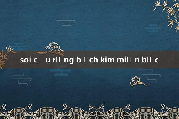 soi cầu rồng bạch kim miền bắc