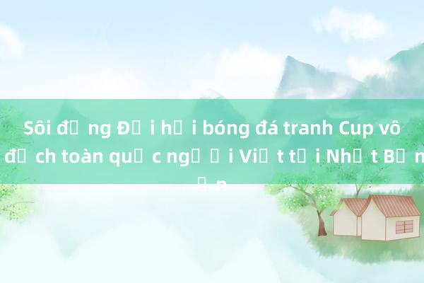 Sôi động Đại hội bóng đá tranh Cup vô địch toàn quốc người Việt tại Nhật Bản